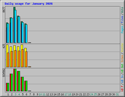 Daily usage for January 2026