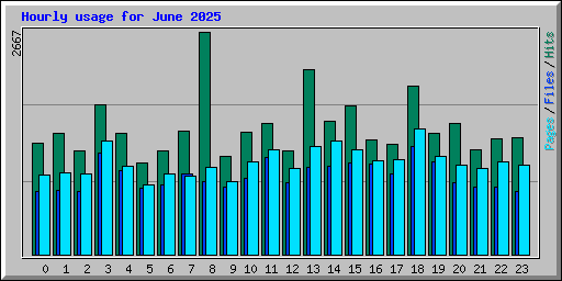Hourly usage for June 2025