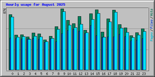 Hourly usage for August 2025