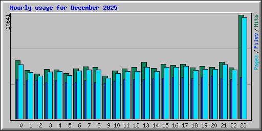 Hourly usage for December 2025