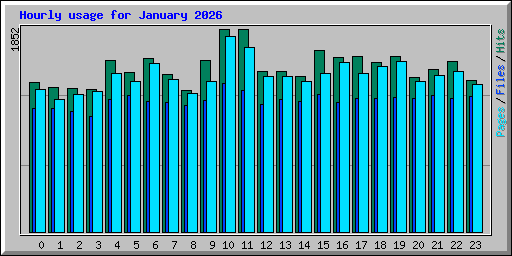 Hourly usage for January 2026